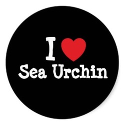 HEART SEA URCHIN - a HOLE IN THE BOTTOM OF THE SEA